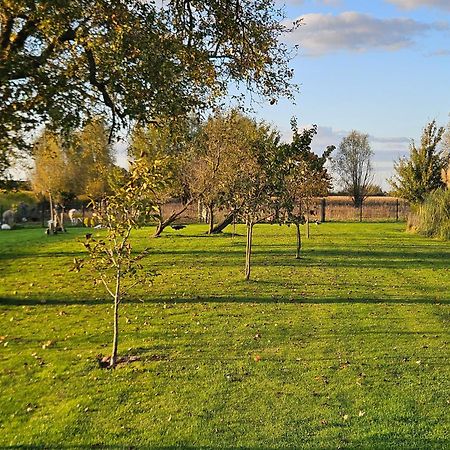 Gite Esprit Loft Fromelles Kültér fotó
